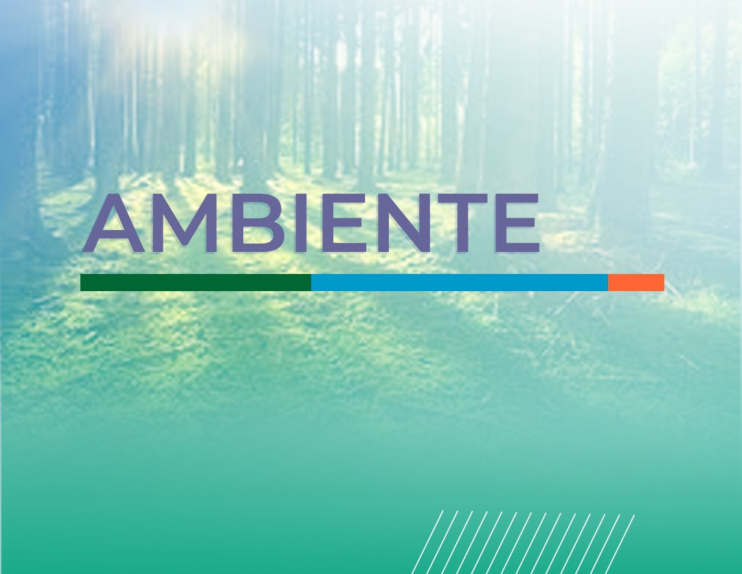 ambiente_cmsv